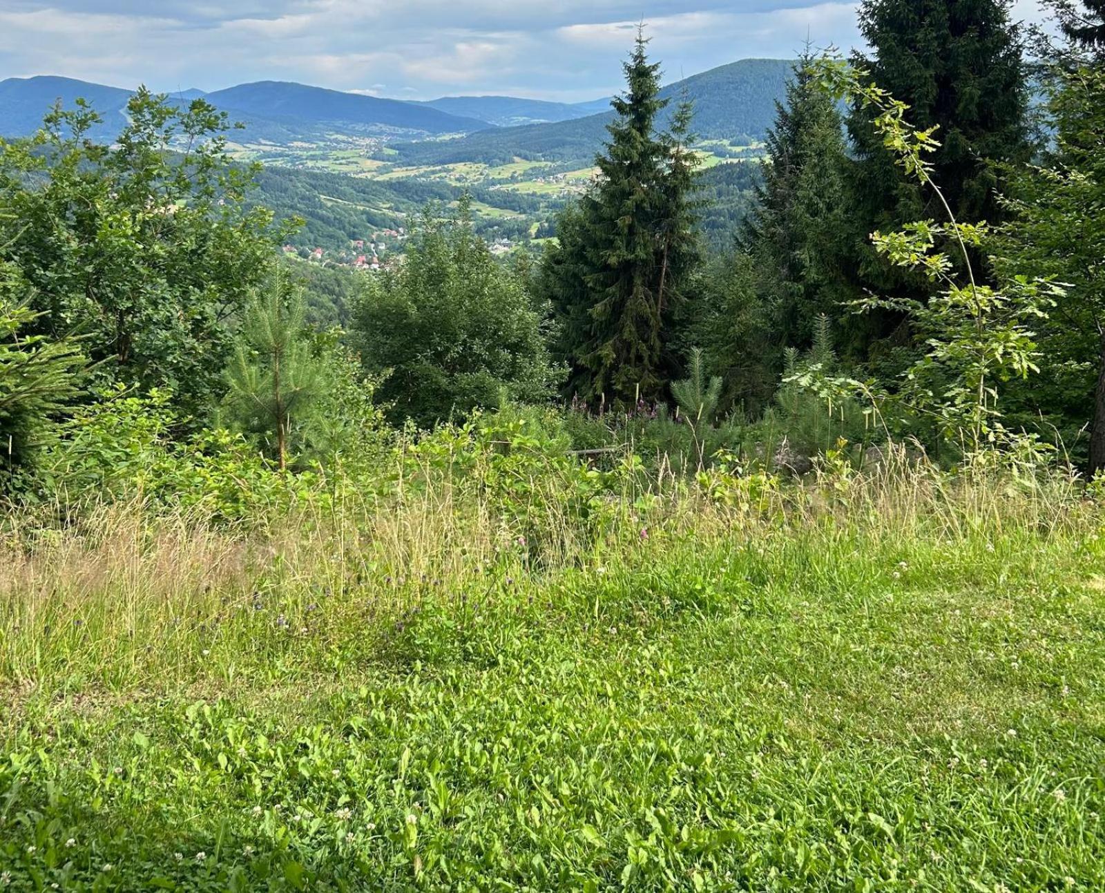 Bed and Breakfast Gosciniec Pod Lubomirem Weglowka  Esterno foto